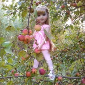 Радует нас осень солнцем и теплом