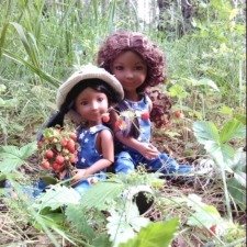 За земляникой