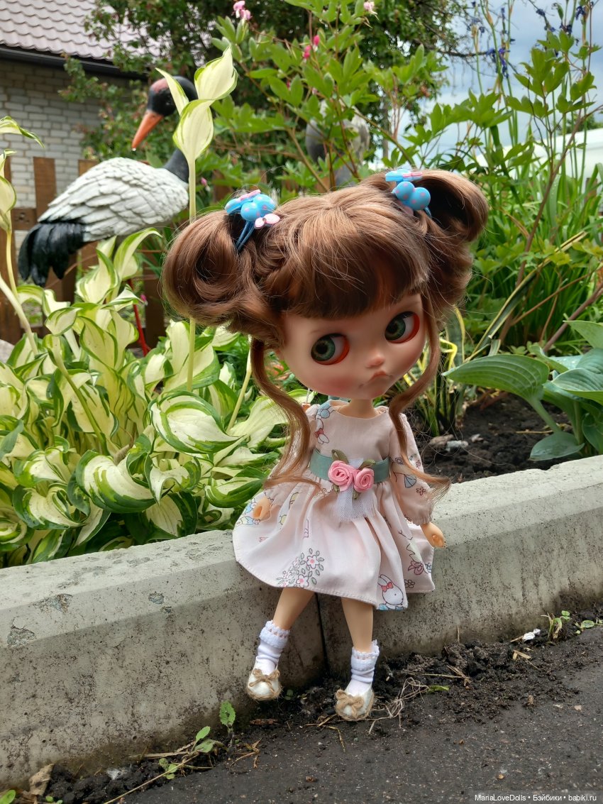 Алискины прогулки — Куклы Blythe (Блайз) ООАК: кастом