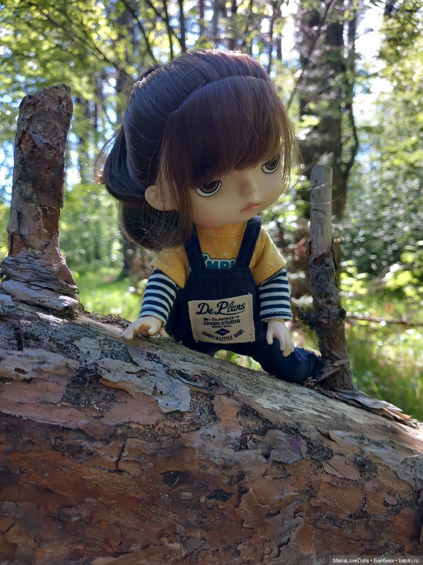 Новенькие ❤️ ❤️ ❤️ — Куклы с Алиэкспресс (Aliexpress): Китайские шарнирные (фото 4)