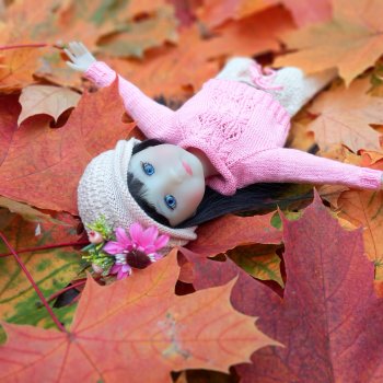 На ковре осенних листьев