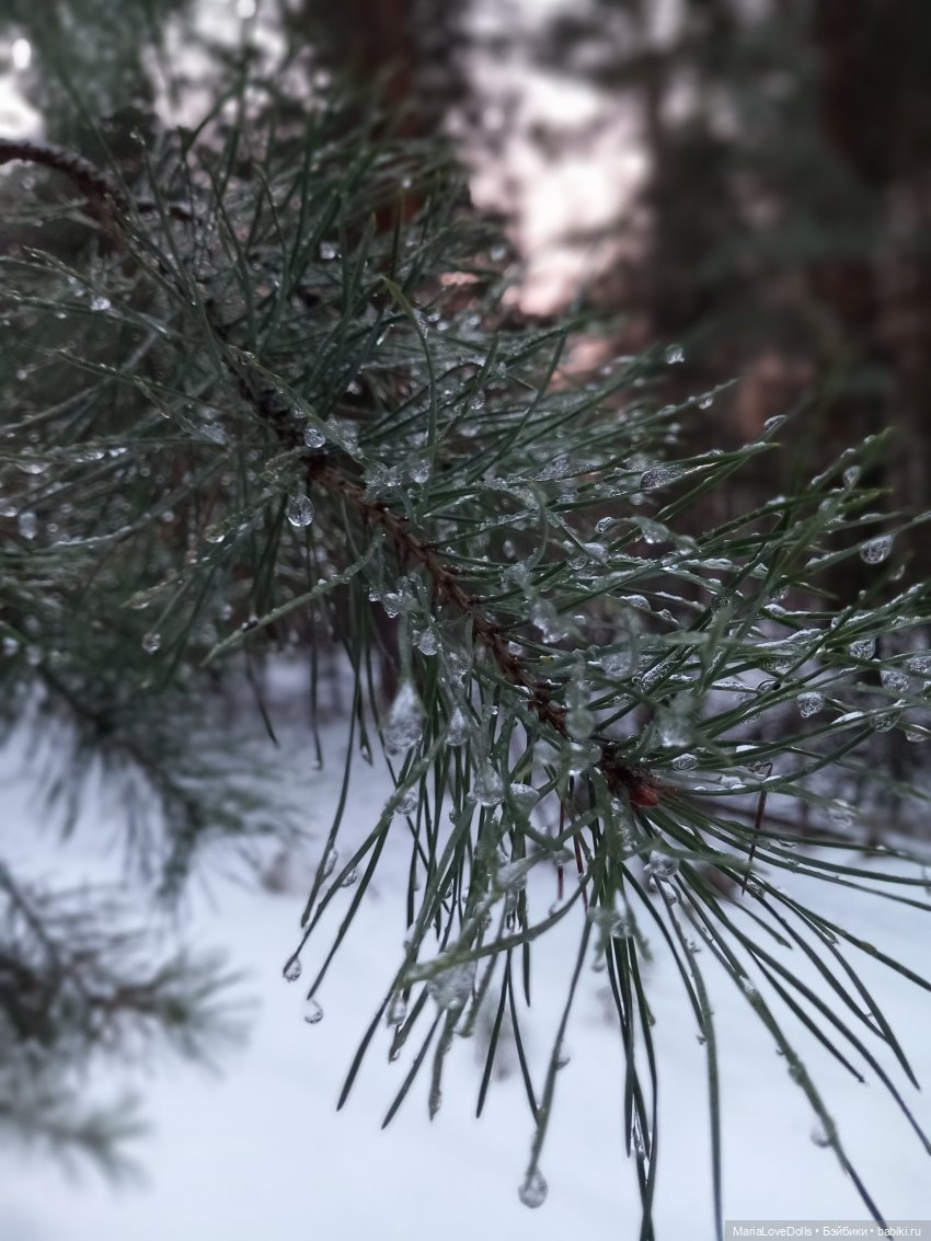 Первый день зимы😊 — Авторские мишки Тедди и друзья: фото