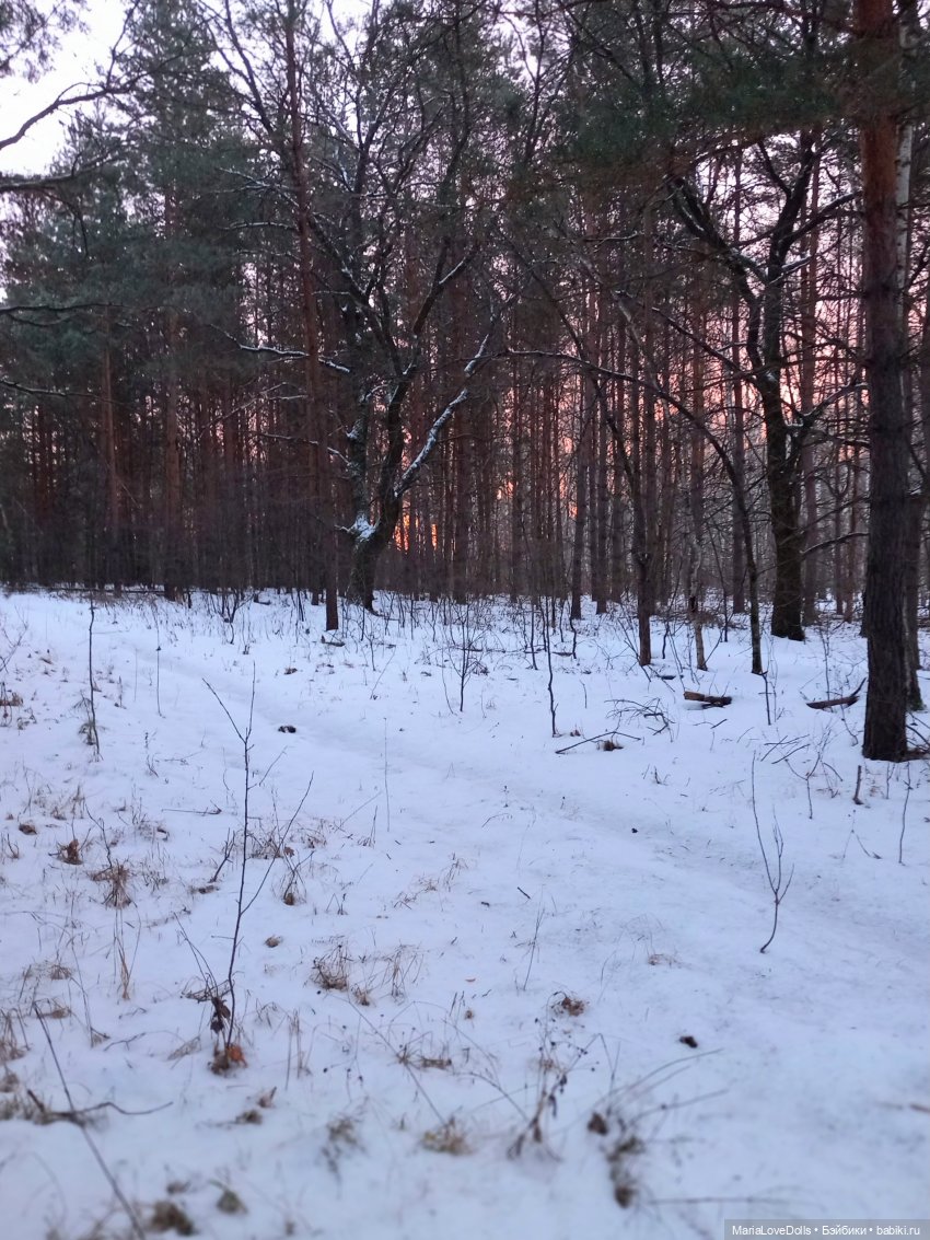 Первый день зимы😊 — Авторские мишки Тедди и друзья: фото