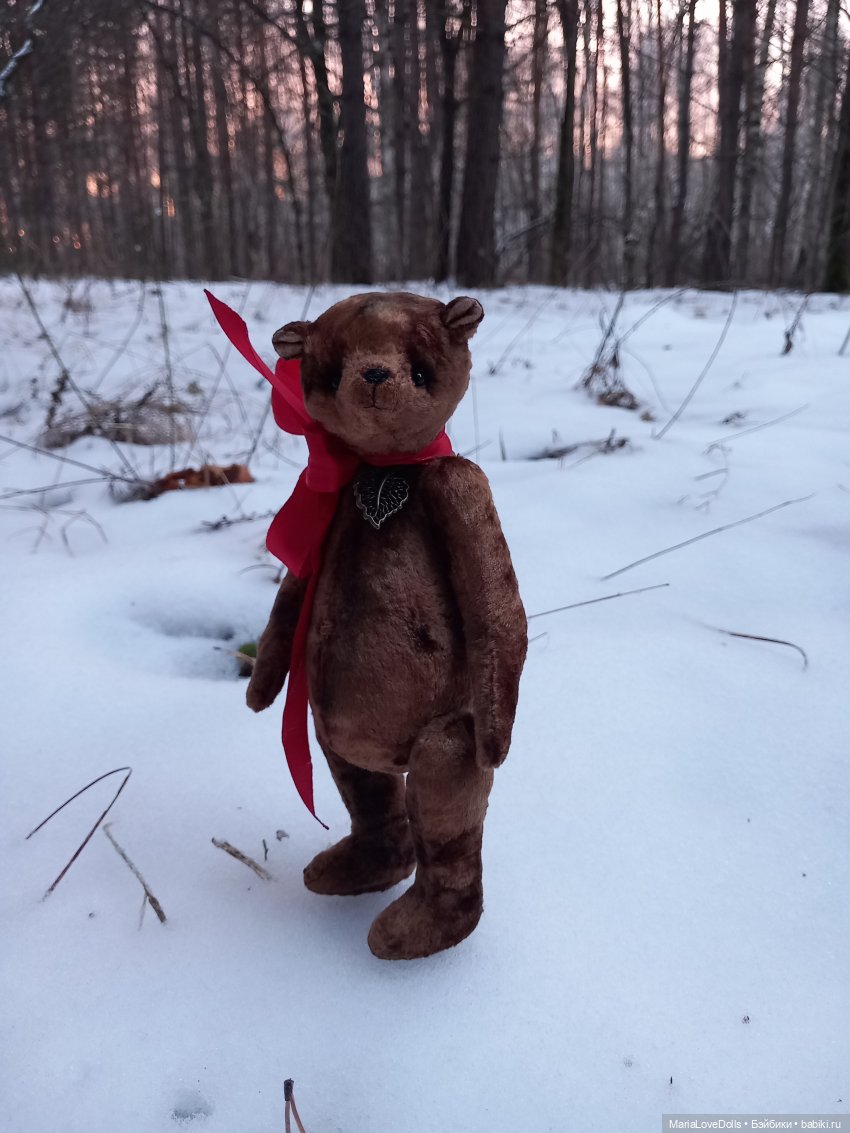 Первый день зимы😊 — Авторские мишки Тедди и друзья: фото (фото 2)