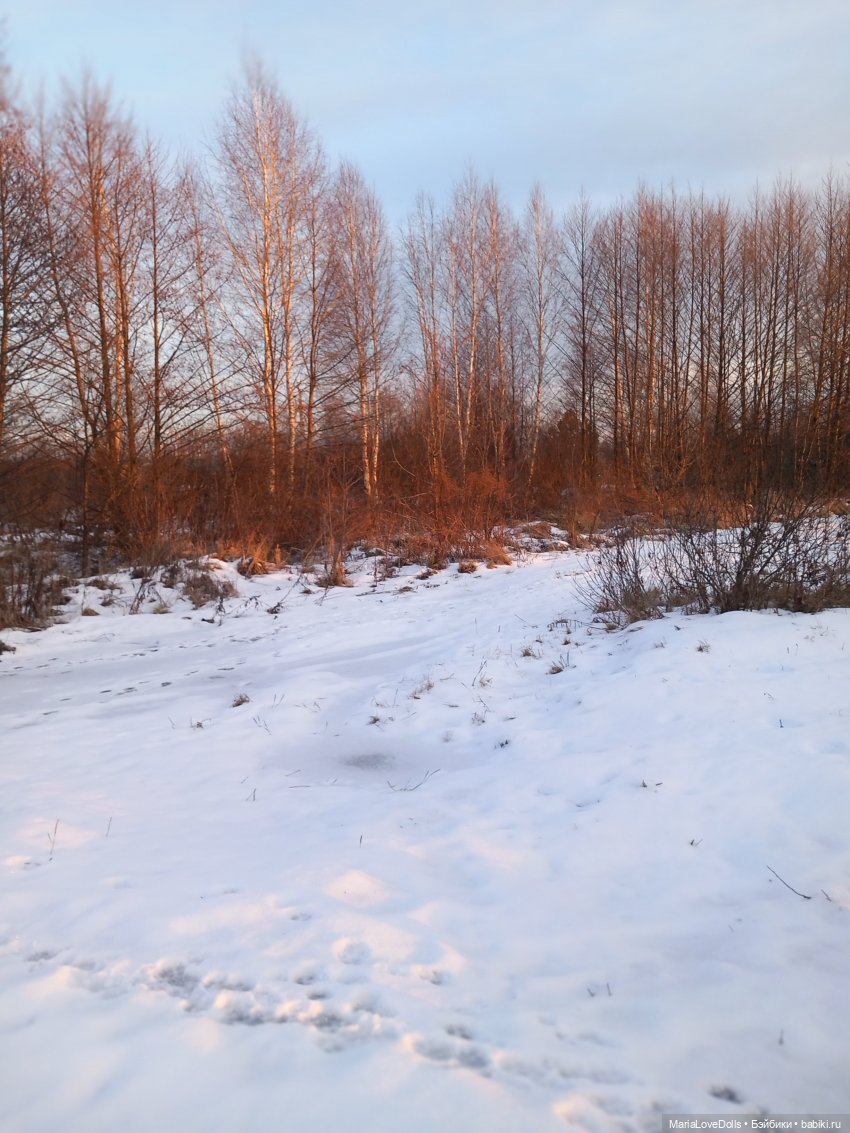 Первый день зимы😊 — Авторские мишки Тедди и друзья: фото