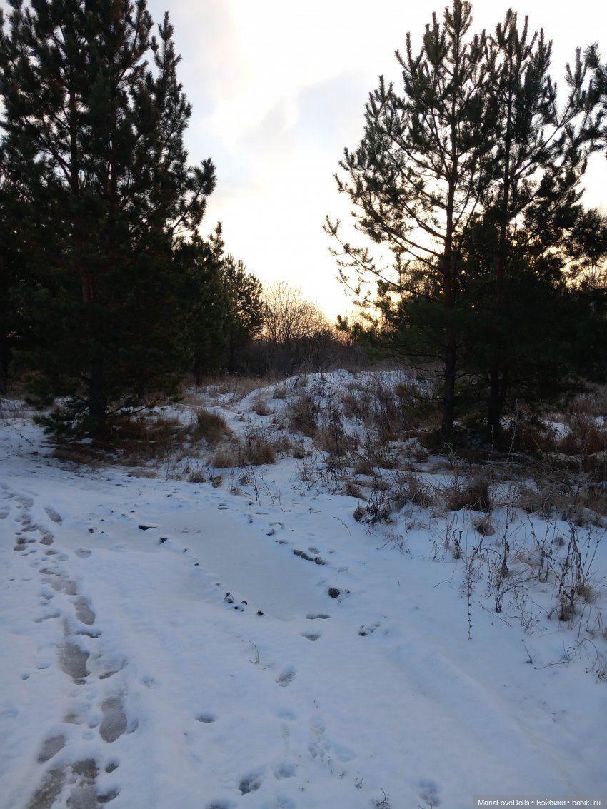 Первый день зимы😊 — Авторские мишки Тедди и друзья: фото