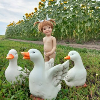 Деревенские будни