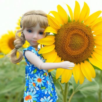 И снова деревня родная моя