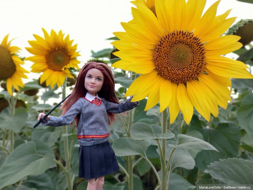 Это вам не Хогвардс... 😄🫣🙃 (фото 4)