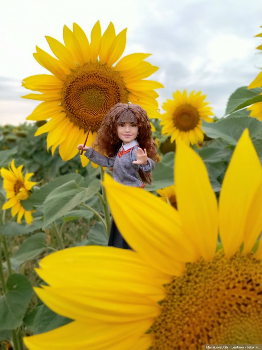 Это вам не Хогвардс... 😄🫣🙃 (фото 5)