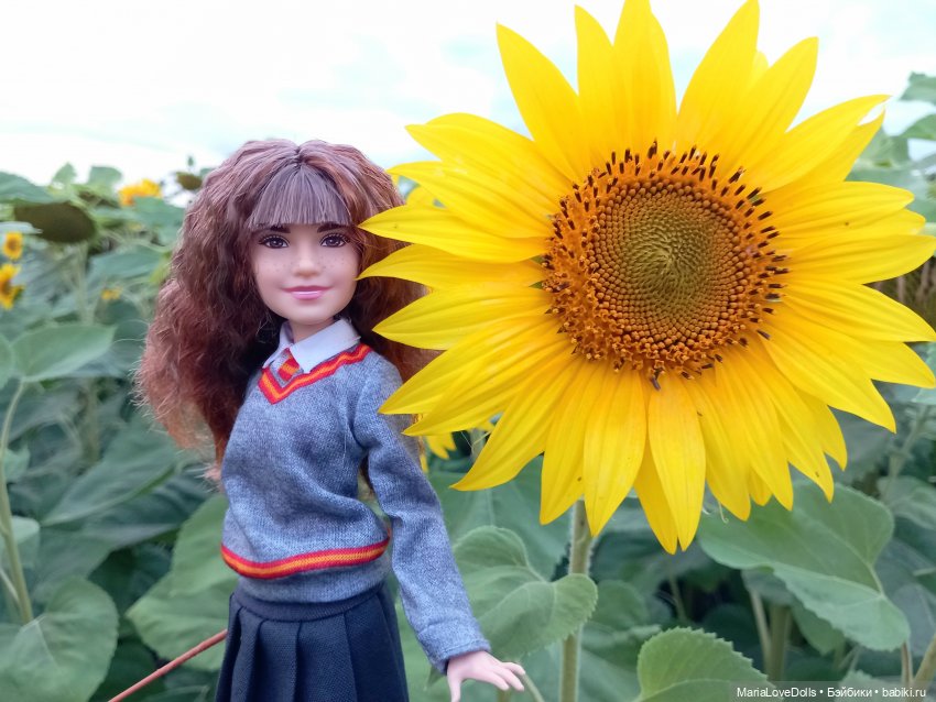 Это вам не Хогвардс... 😄🫣🙃 (фото 8)