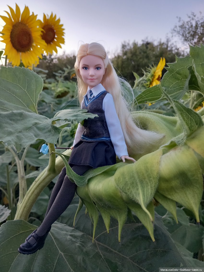 Это вам не Хогвардс... 😄🫣🙃