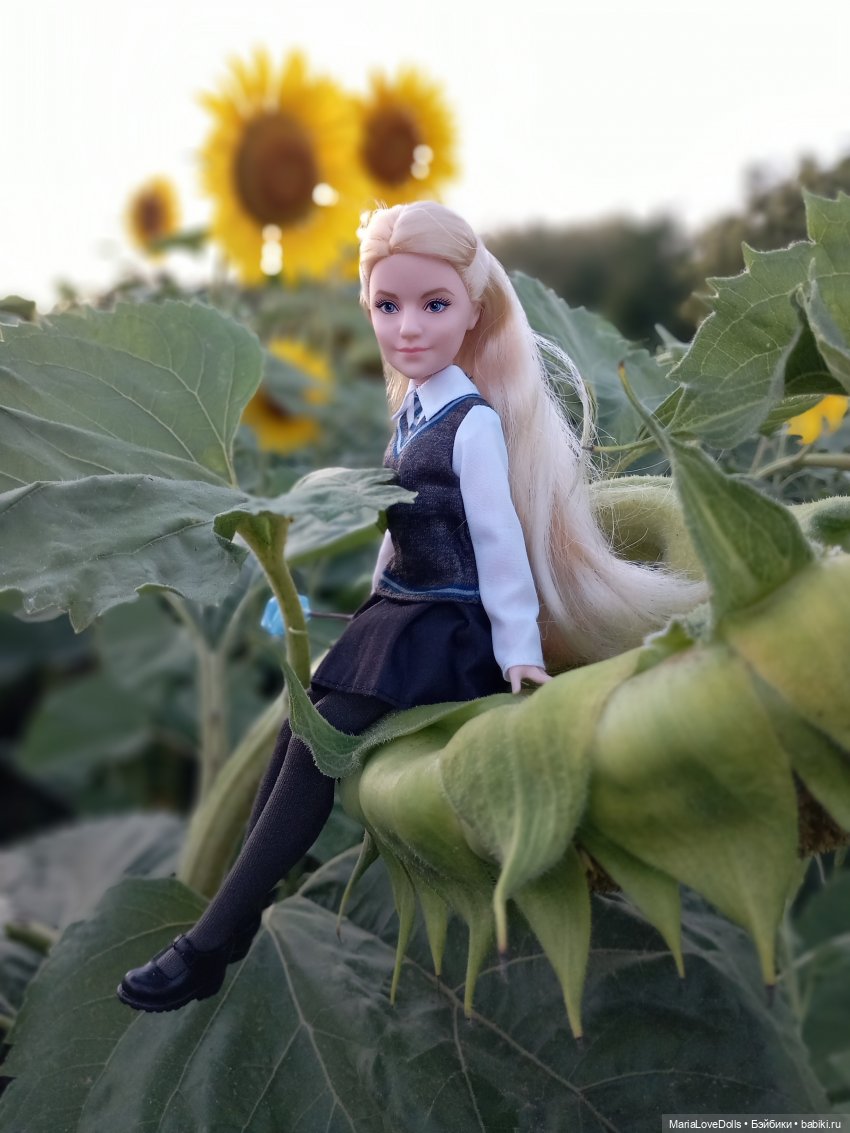 Это вам не Хогвардс... 😄🫣🙃