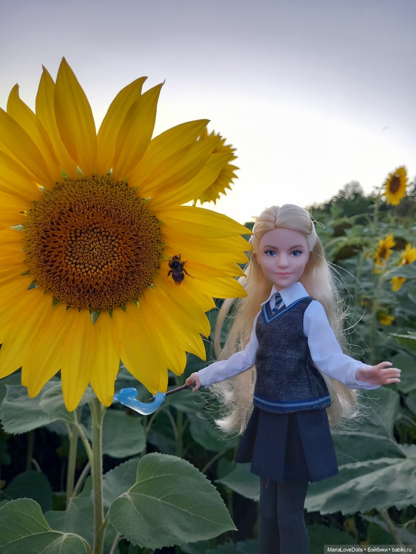 Это вам не Хогвардс... 😄🫣🙃 (фото 10)