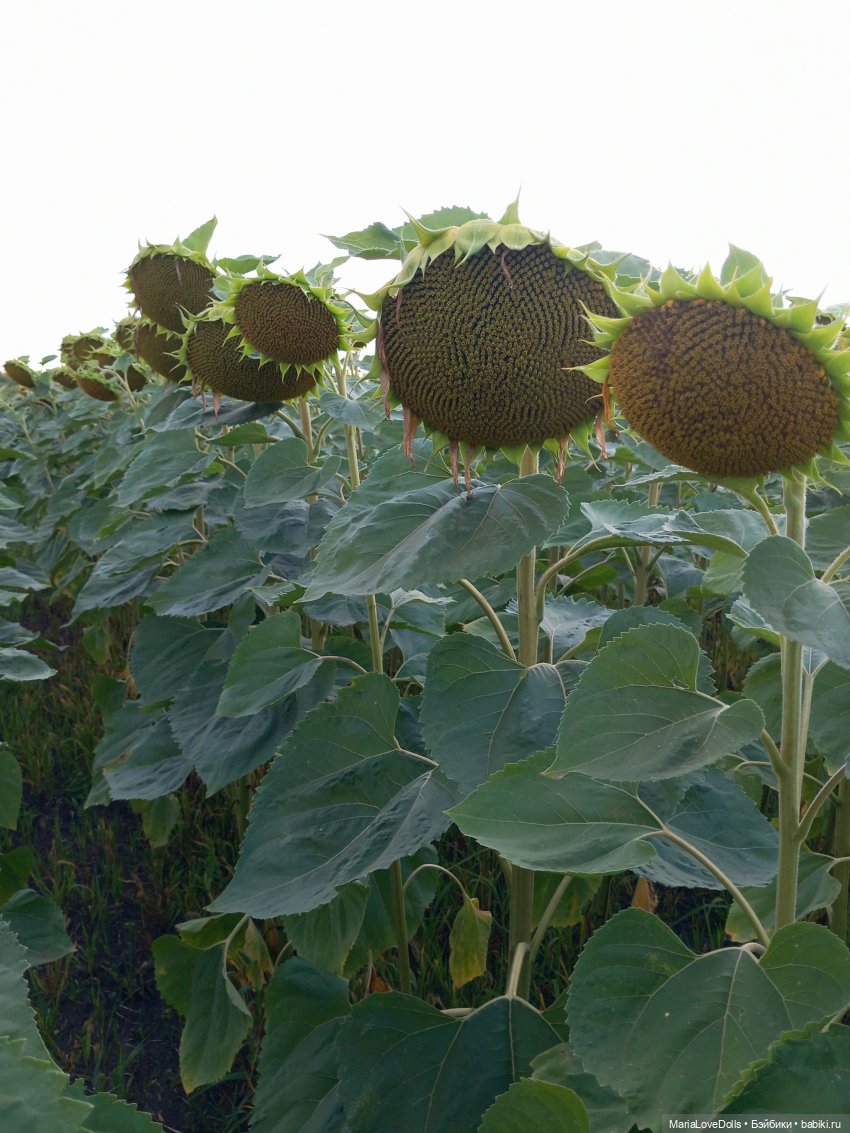 Это вам не Хогвардс... 😄🫣🙃