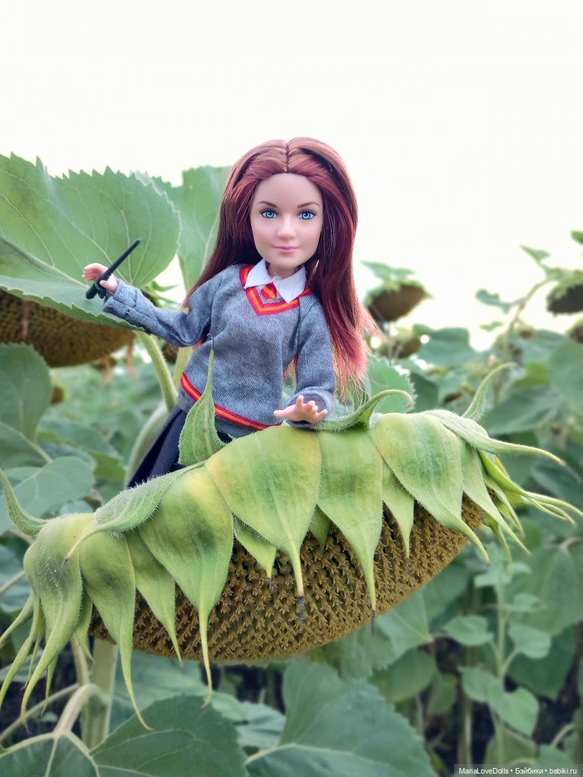 Это вам не Хогвардс... 😄🫣🙃 (фото 2)