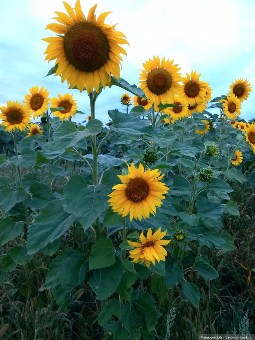 Это вам не Хогвардс... 😄🫣🙃