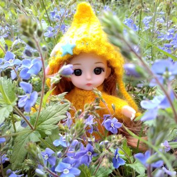 Пять лет на сайте!🎂🎉🍩🍫🧁🍦🥮