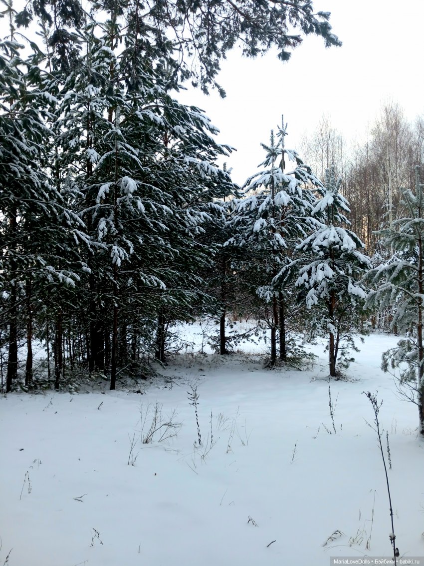 Один день настоящей Зимы❄️❄️❄️ (фото 2)