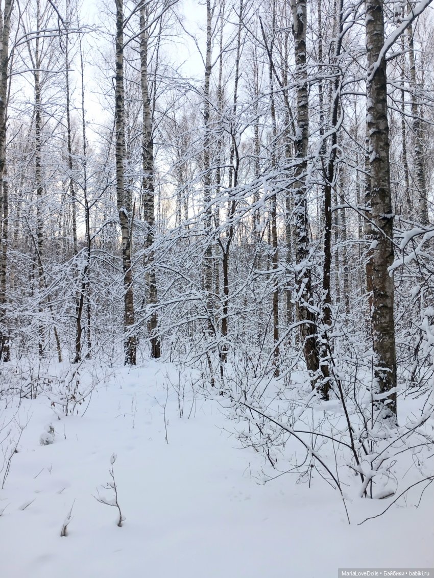 Один день настоящей Зимы❄️❄️❄️