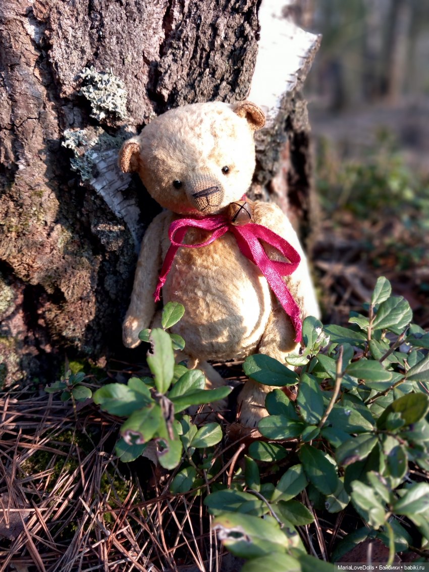 И к нам опять пришла она — Куклы Max & Jessi (Любимая подружка): виниловые (фото 5)