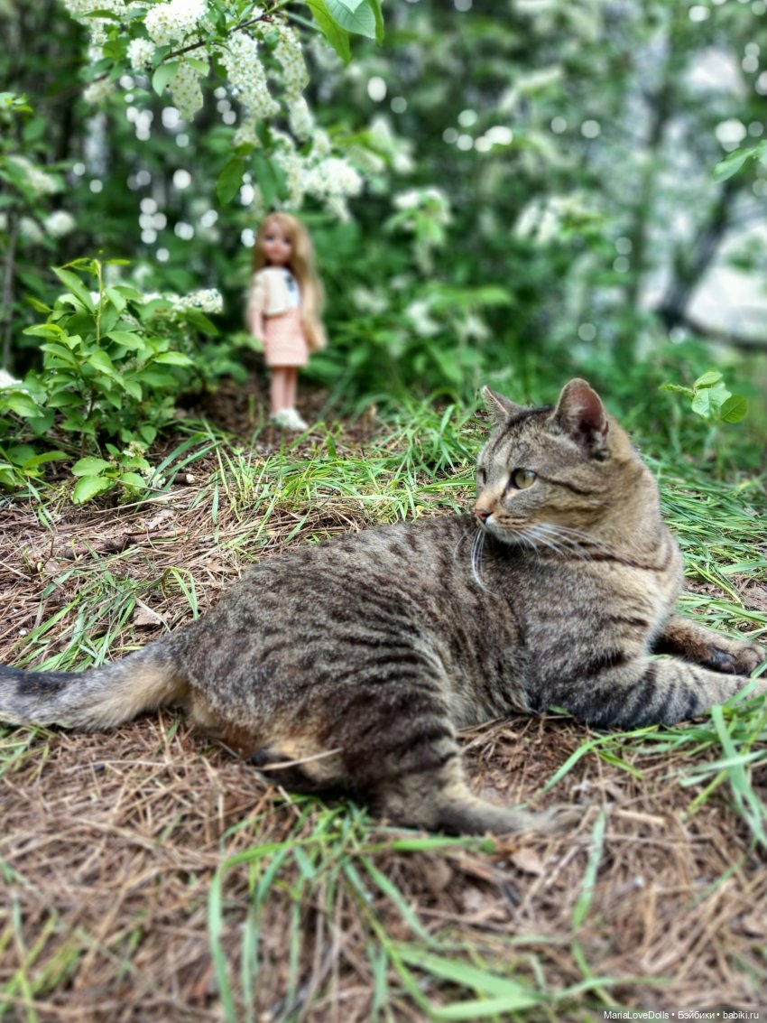 Один раз в год сады цветут (фото 2)