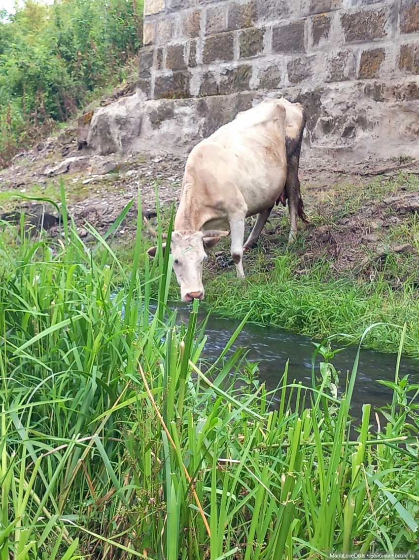 В окружении — Куклы Ruby Red (Руби Ред) Fashion Friends: Siblies