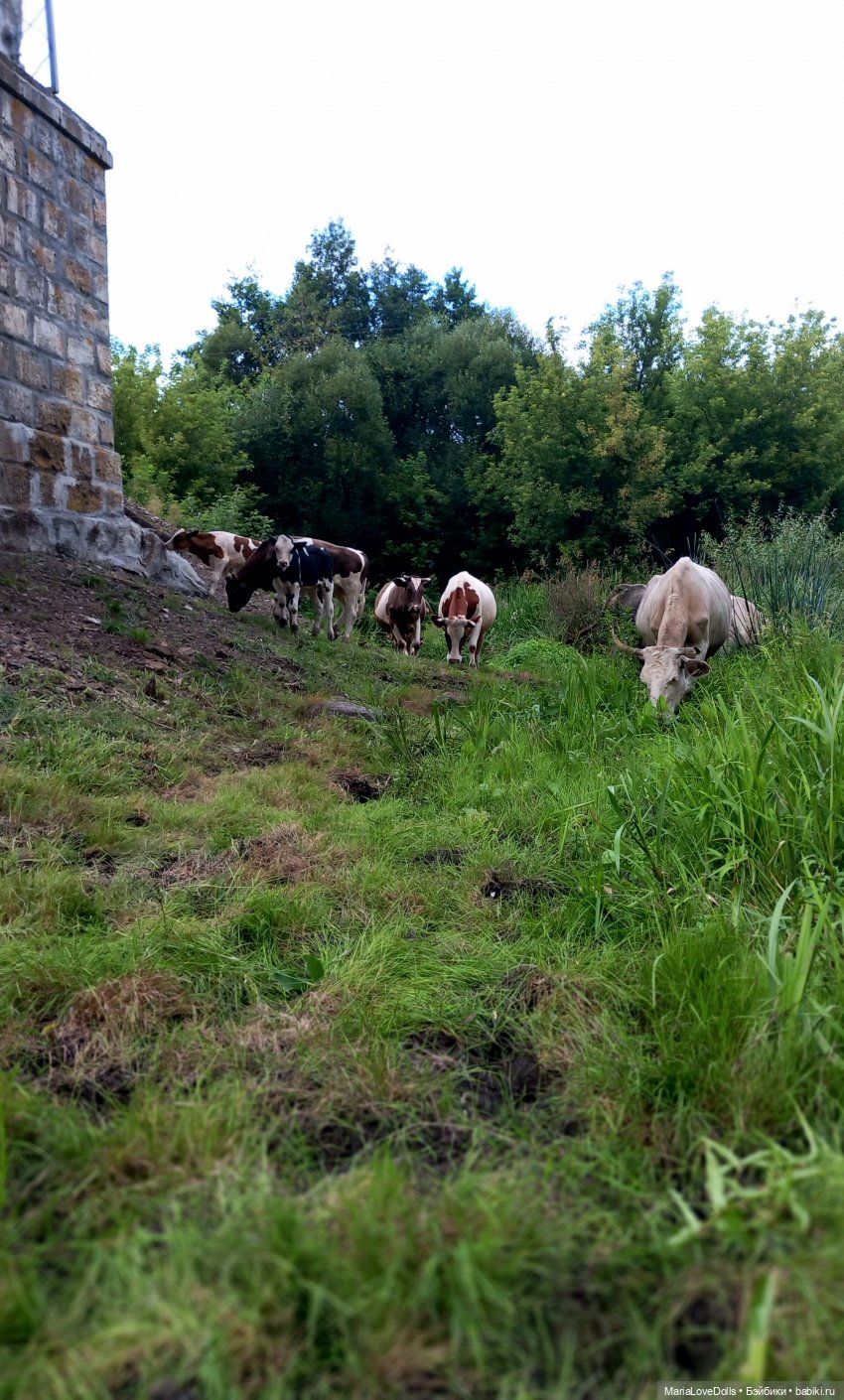 В окружении — Куклы Ruby Red (Руби Ред) Fashion Friends: Siblies (фото 6)