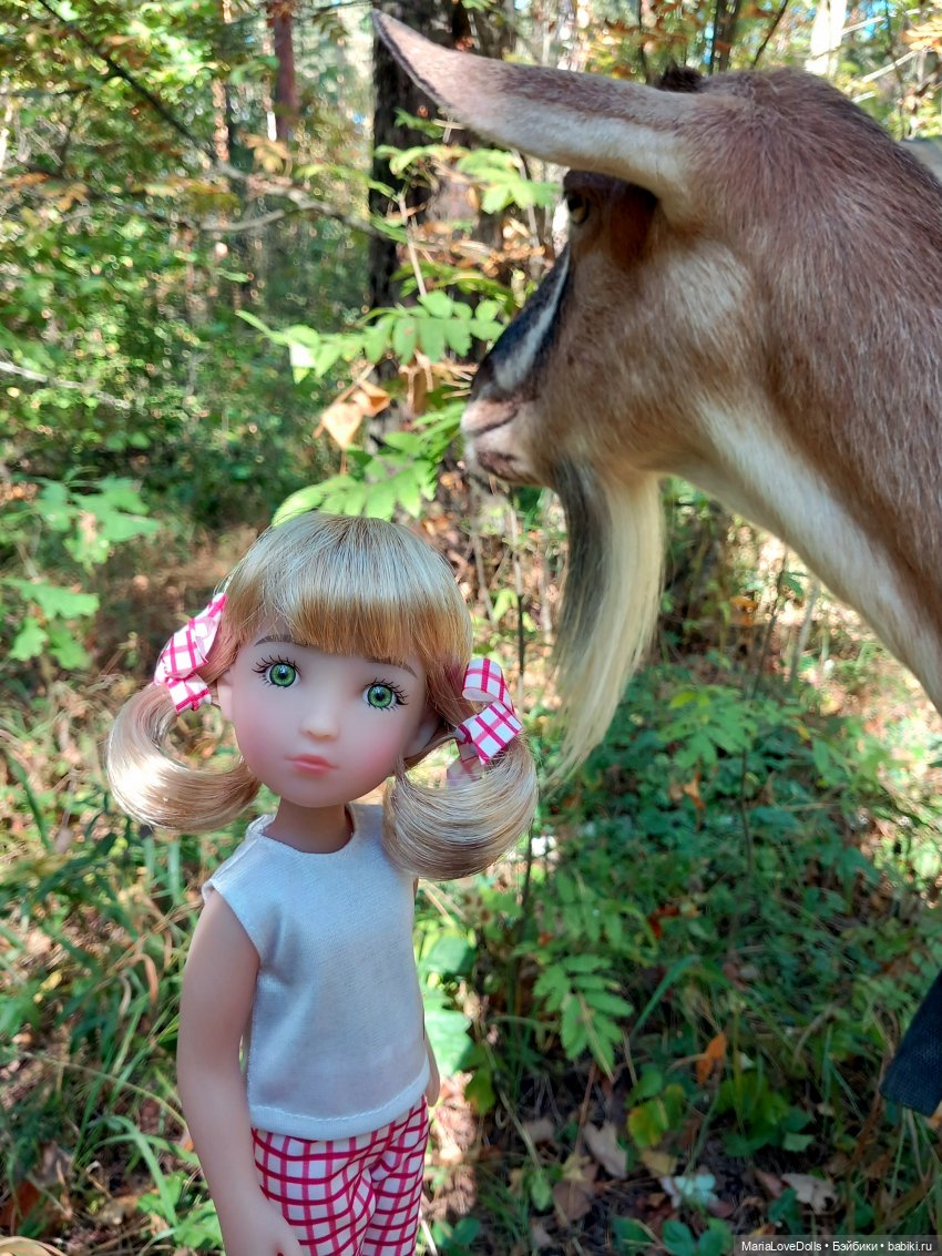 Малышка победы — Куклы Ruby Red (Руби Ред) Fashion Friends: Siblies