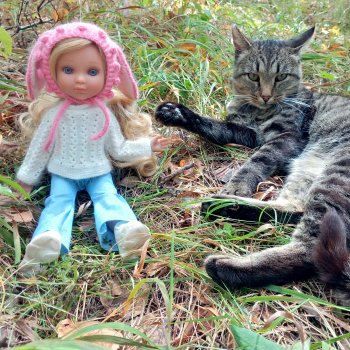 Закрываем грибной сезон