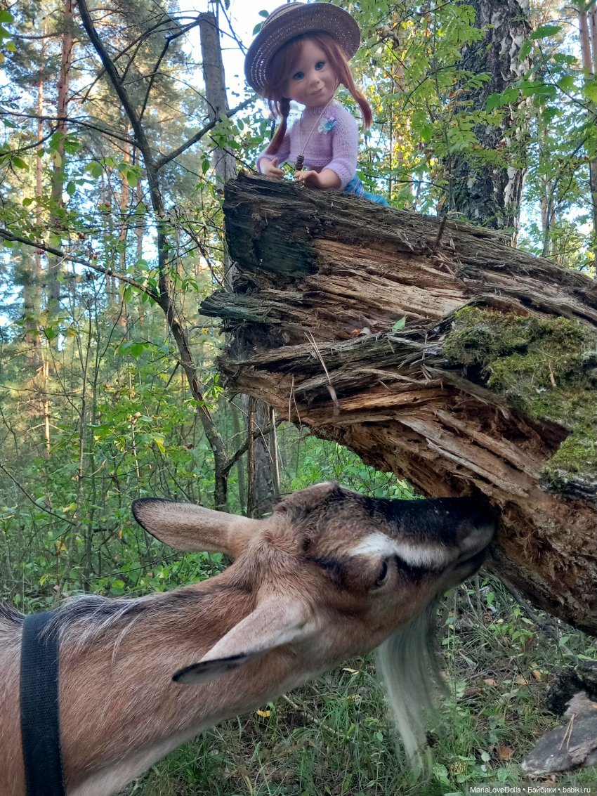 Рыжий день для двух рыжиков.., нет... для трёх
