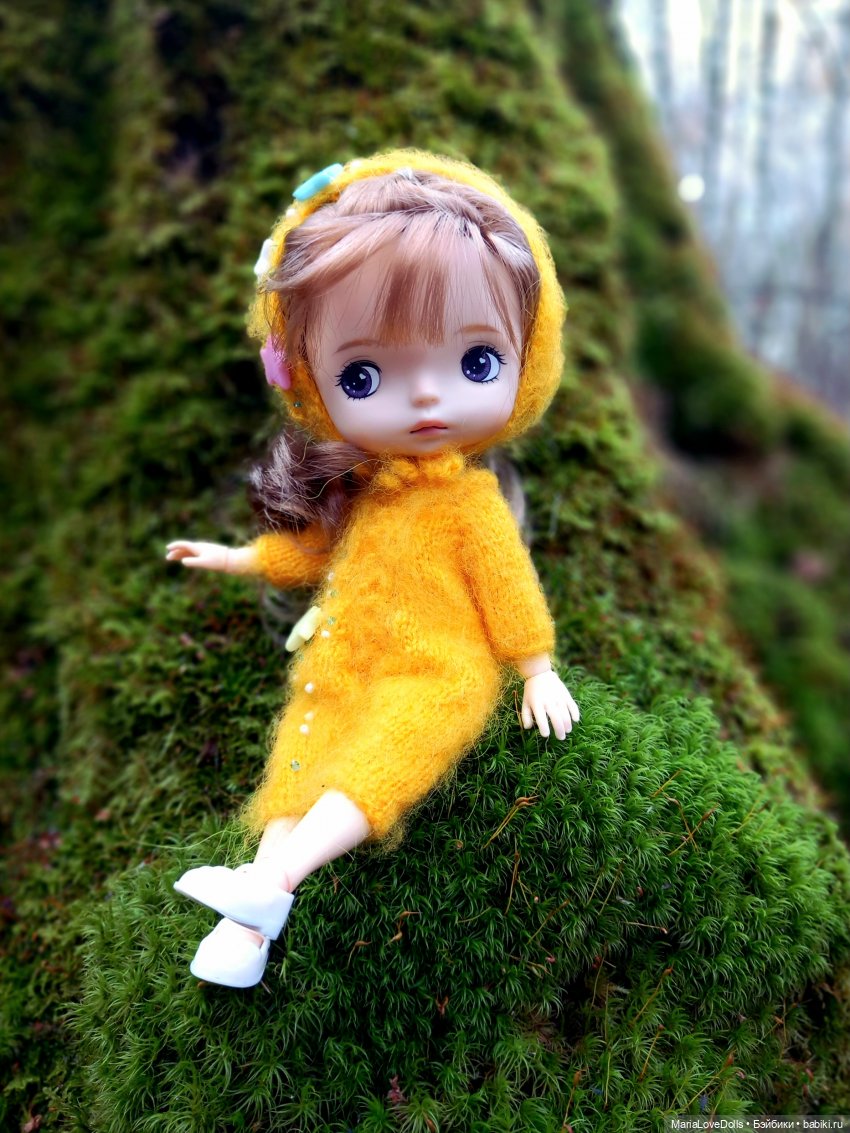 Начало двух зим — Куклы Xiaomi Monst (Сяоми) и Pipitom: шарнирные (фото 3)