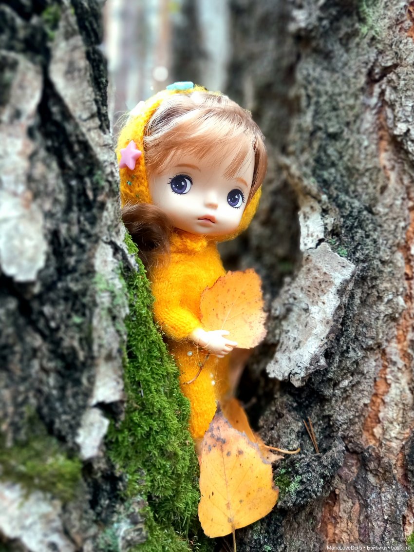 Начало двух зим — Куклы Xiaomi Monst (Сяоми) и Pipitom: шарнирные (фото 4)