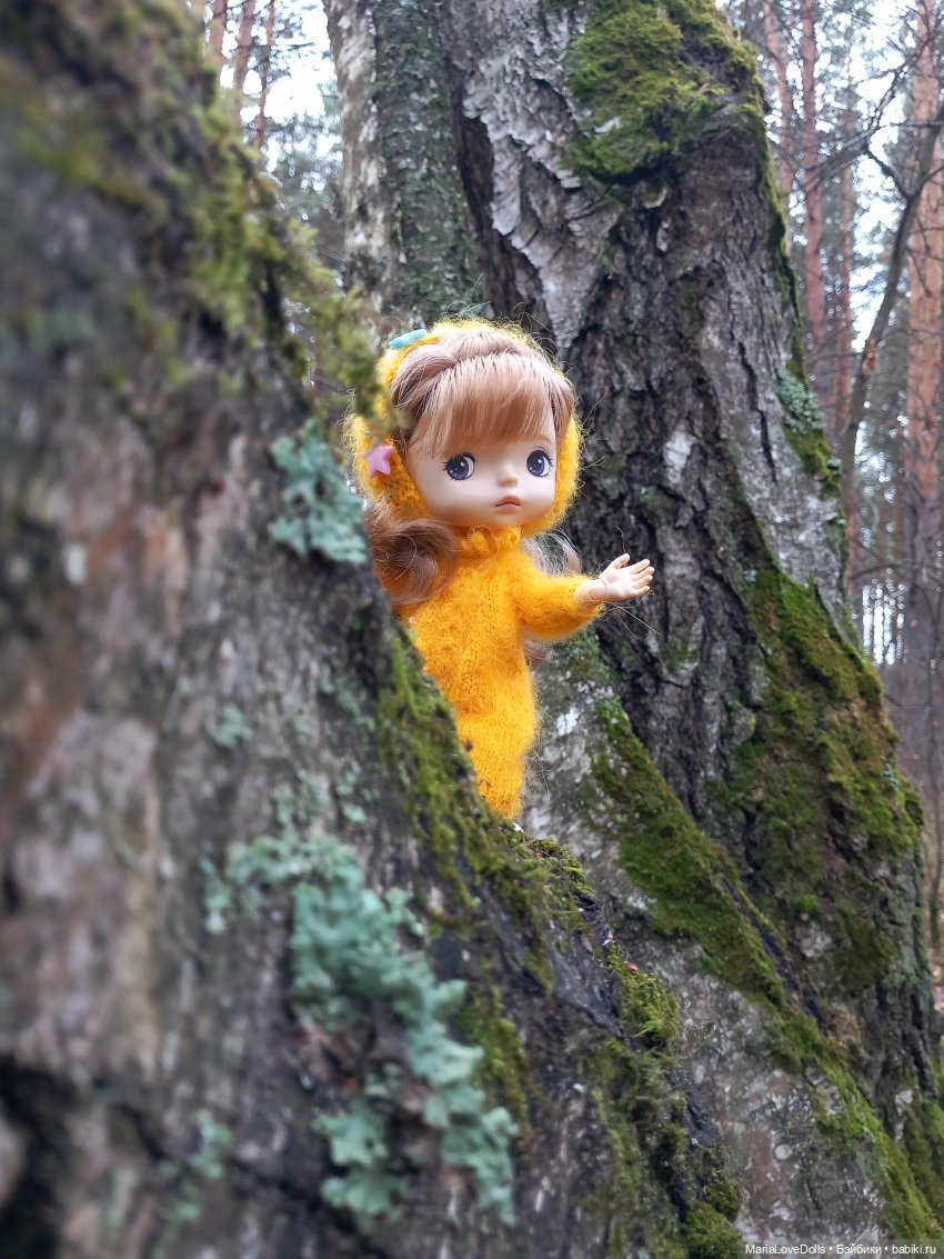 Начало двух зим — Куклы Xiaomi Monst (Сяоми) и Pipitom: шарнирные