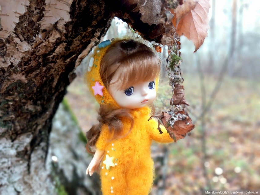 Начало двух зим — Куклы Xiaomi Monst (Сяоми) и Pipitom: шарнирные (фото 6)