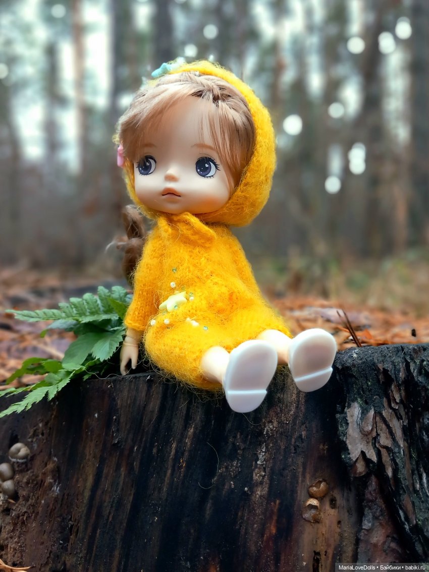 Начало двух зим — Куклы Xiaomi Monst (Сяоми) и Pipitom: шарнирные (фото 2)