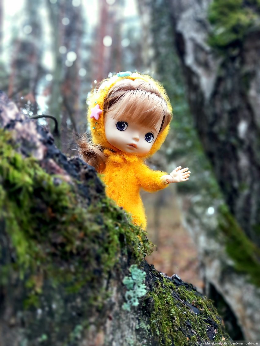 Начало двух зим — Куклы Xiaomi Monst (Сяоми) и Pipitom: шарнирные (фото 9)