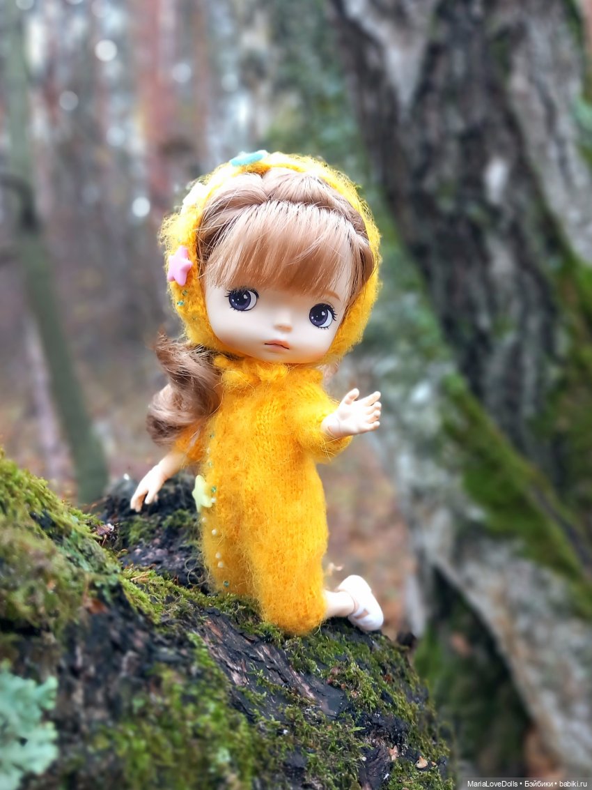 Начало двух зим — Куклы Xiaomi Monst (Сяоми) и Pipitom: шарнирные (фото 10)