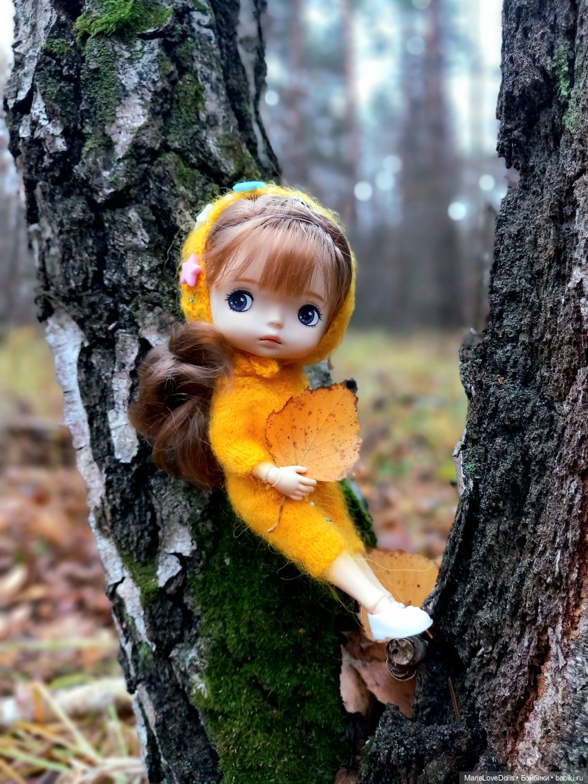 Начало двух зим — Куклы Xiaomi Monst (Сяоми) и Pipitom: шарнирные (фото 5)