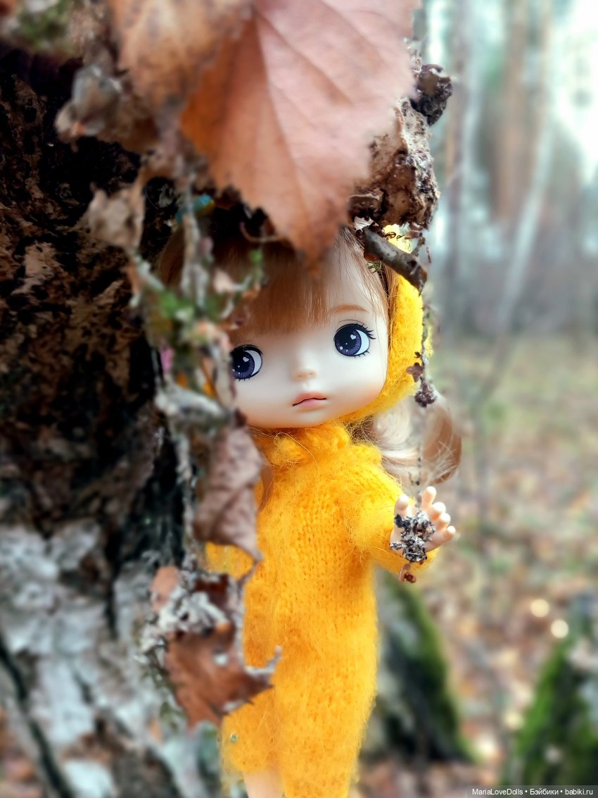 Начало двух зим — Куклы Xiaomi Monst (Сяоми) и Pipitom: шарнирные (фото 7)