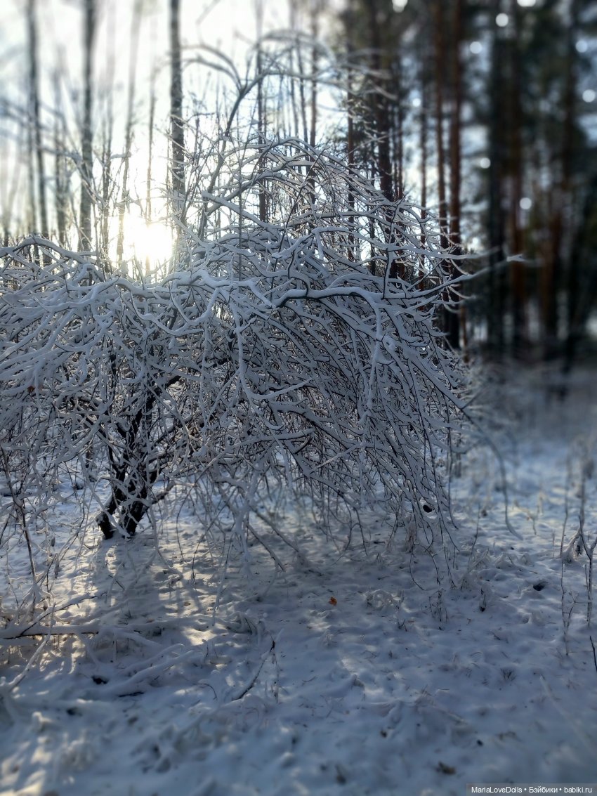 Сказку не спугнуть — Куклы Rosemarie Anna Muller (Мюллер): Вихтели (Wichtel) (фото 2)