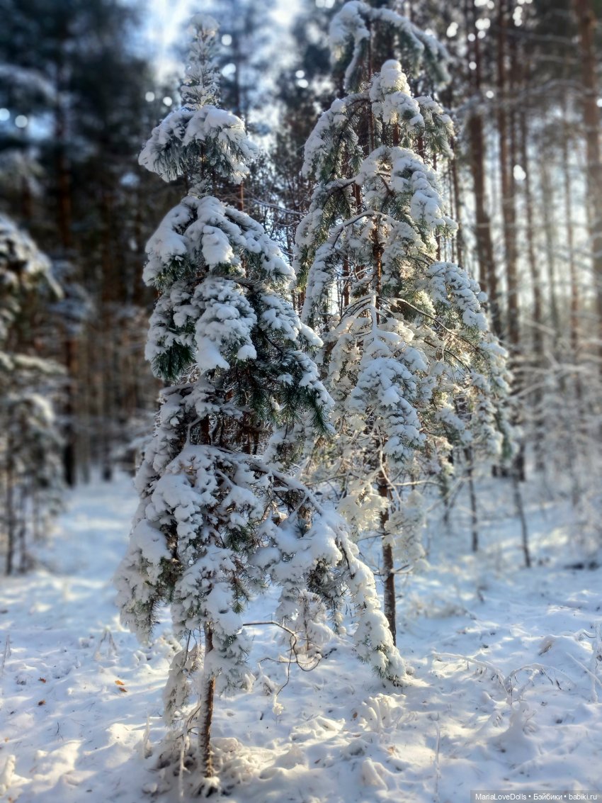 Сказку не спугнуть — Куклы Rosemarie Anna Muller (Мюллер): Вихтели (Wichtel)