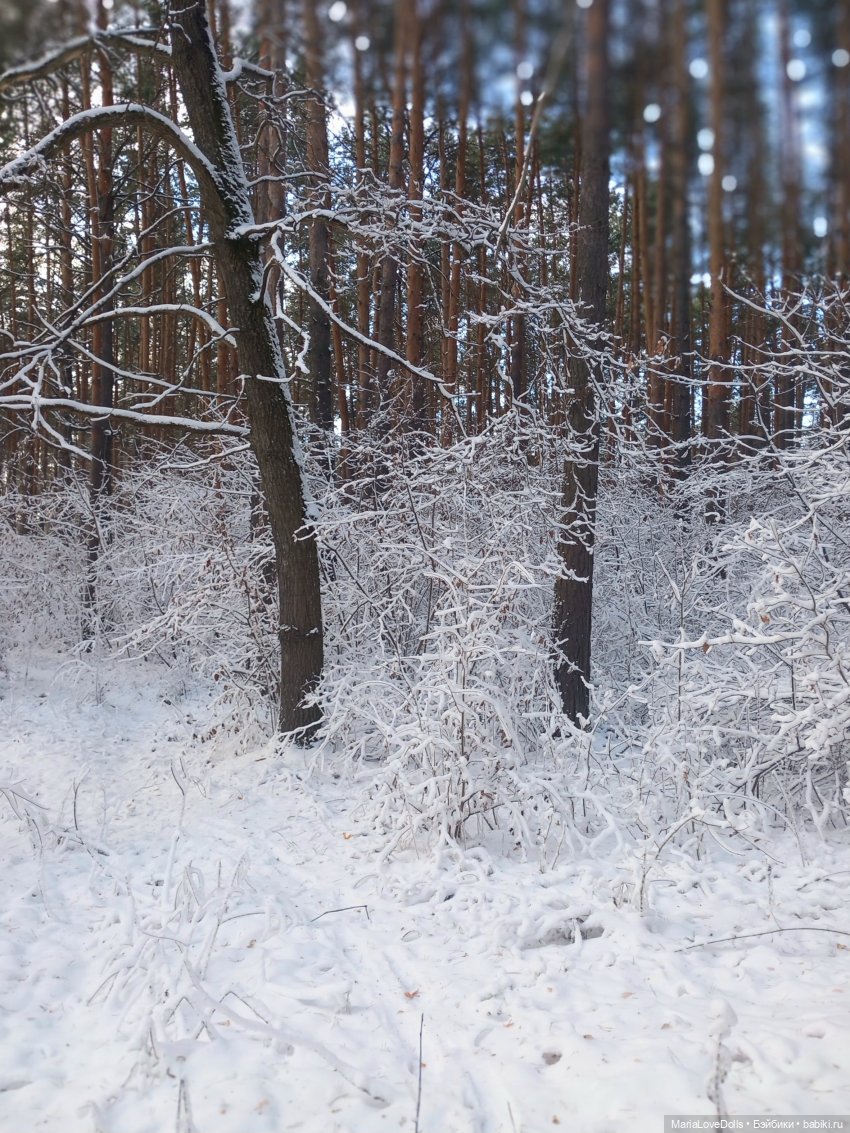 Сказку не спугнуть — Куклы Rosemarie Anna Muller (Мюллер): Вихтели (Wichtel) (фото 5)