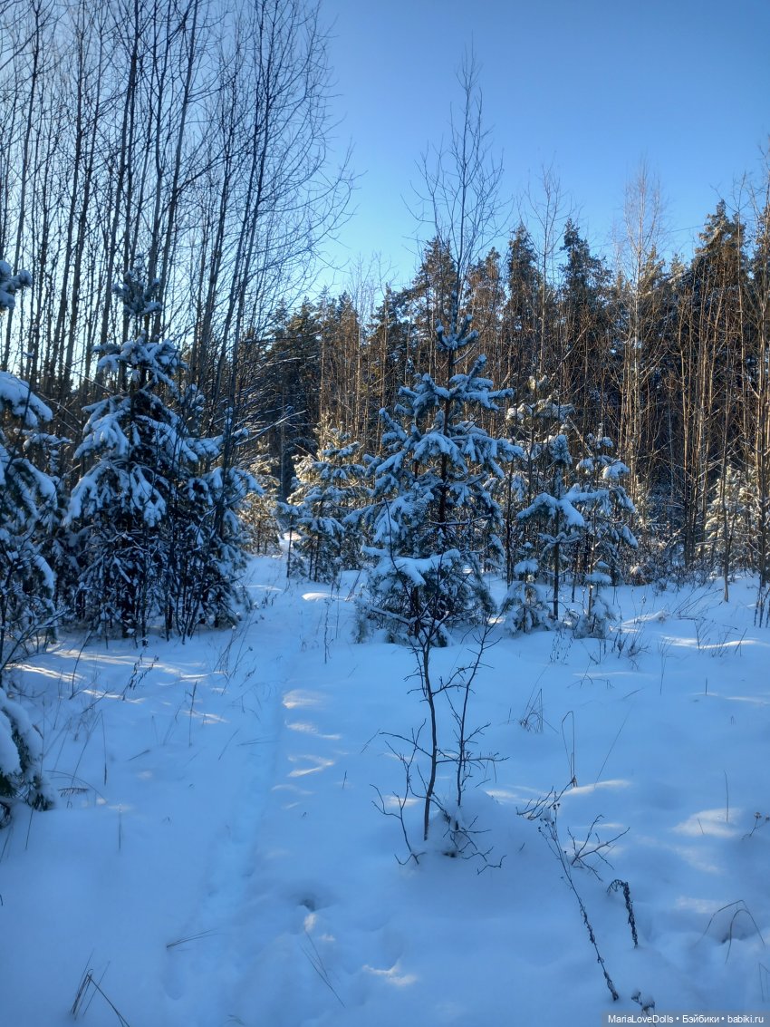 С утра и до вечера... Или один зимний день (фото 5)