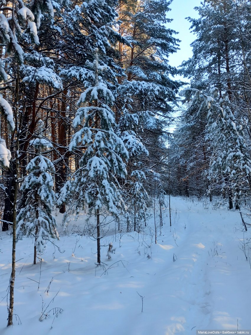 С утра и до вечера... Или один зимний день (фото 3)
