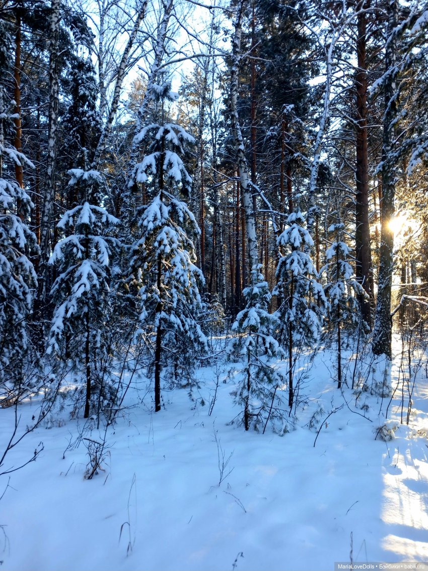С утра и до вечера... Или один зимний день