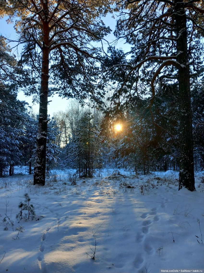 С утра и до вечера... Или один зимний день