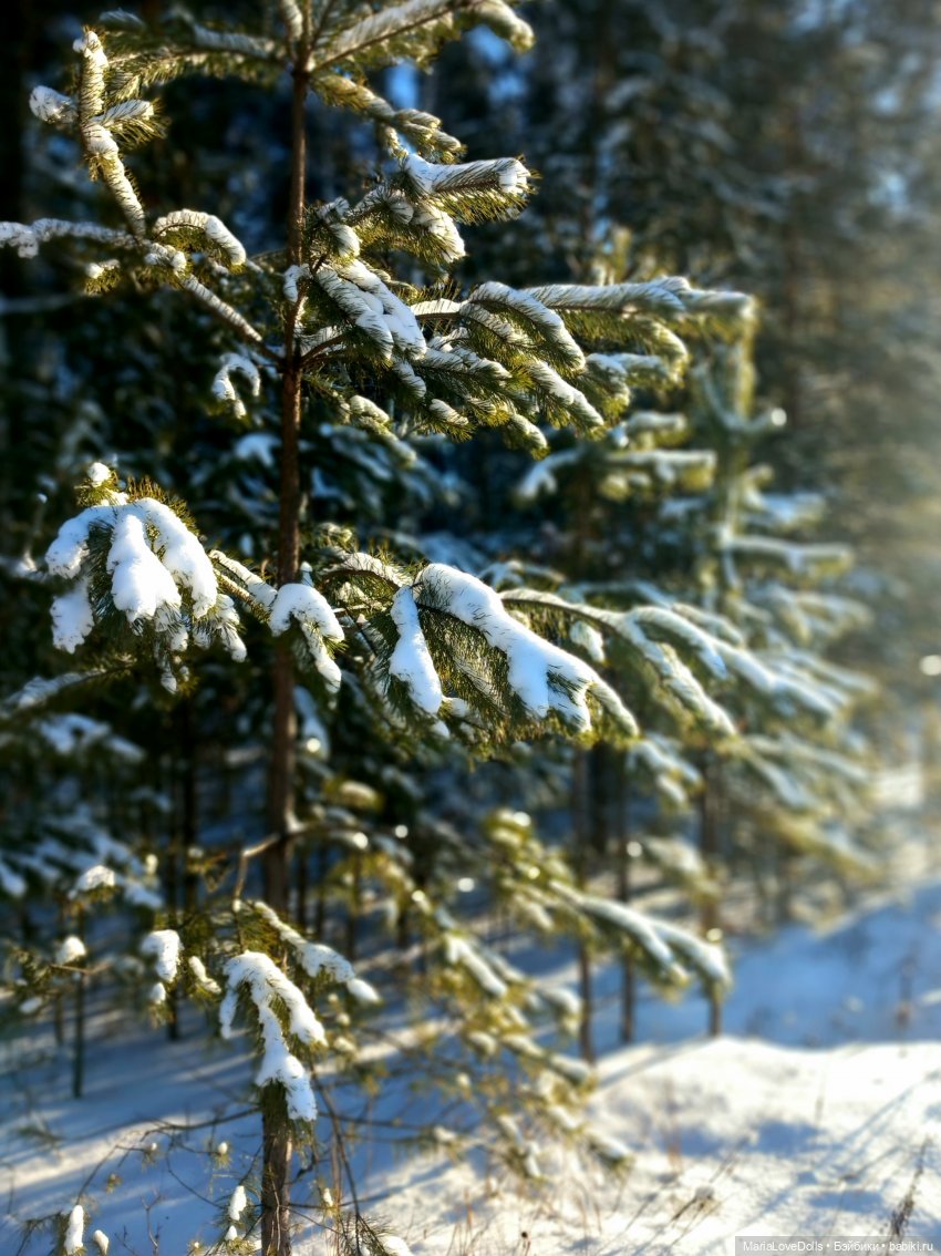 С утра и до вечера... Или один зимний день