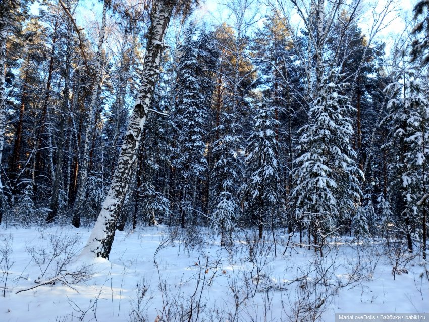 С утра и до вечера... Или один зимний день