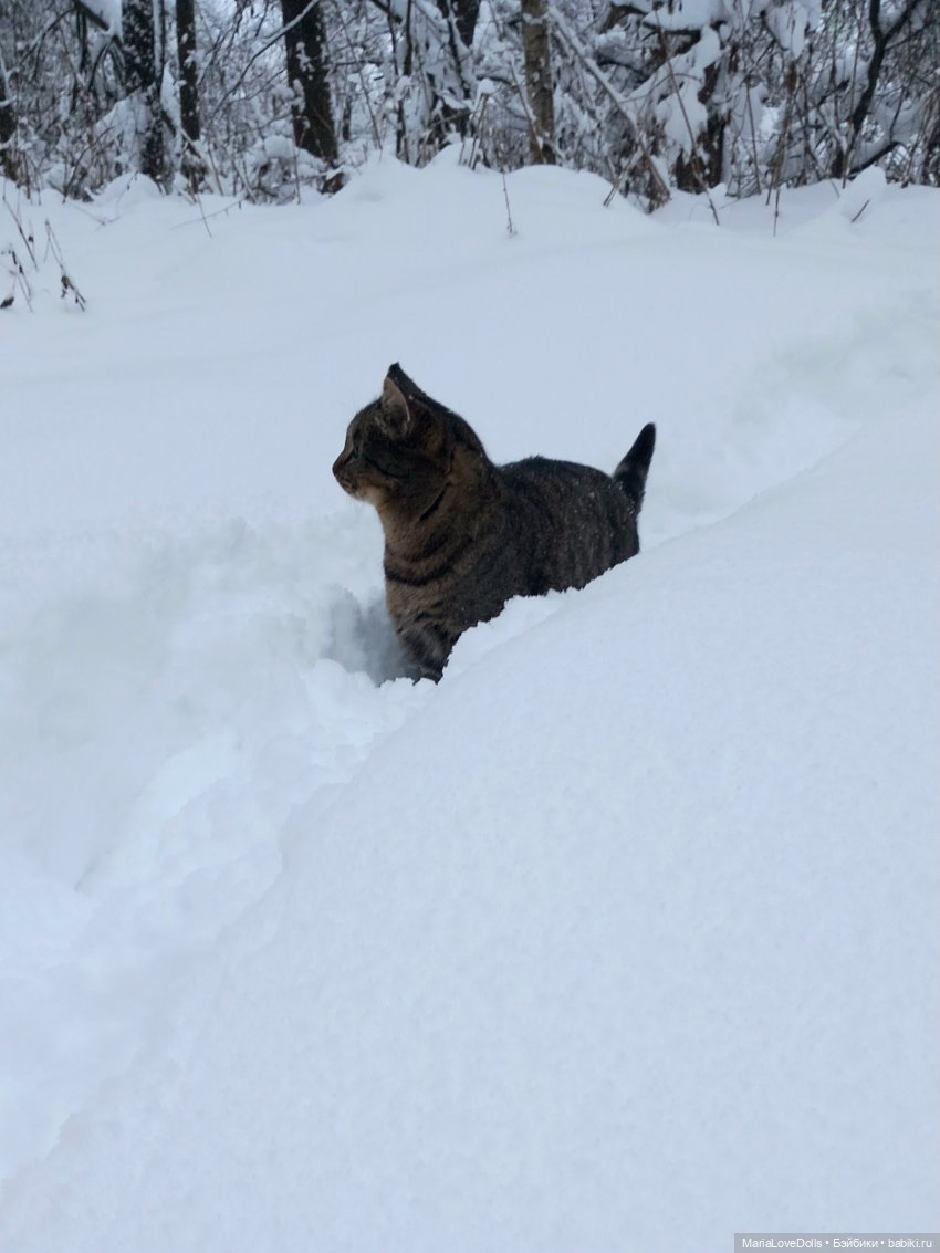 Авочка и Медведь — Куклы Sylvia Natterer (Сильвия Наттерер): Gotz